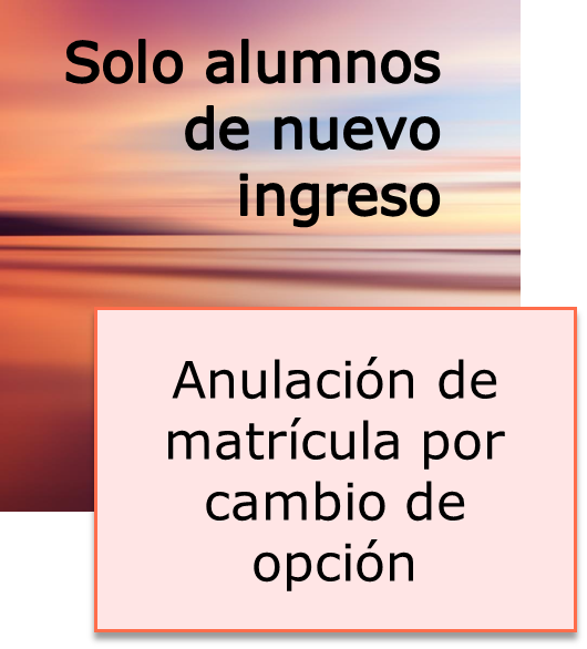 Anulación por cambio de opción
