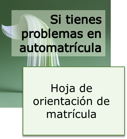 Hoja de orientación de la matrícula