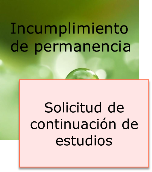 Continuación de estudios