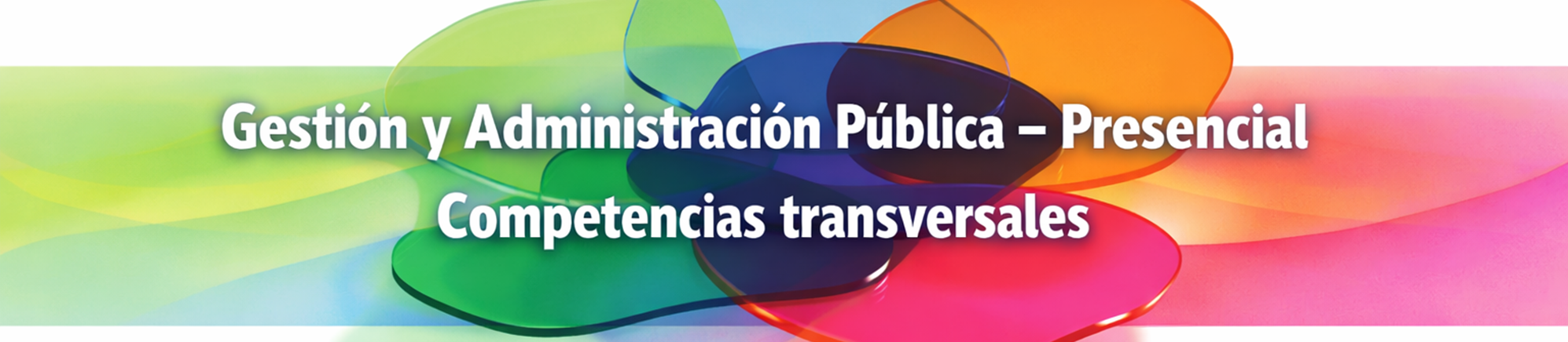 Competencias transverales