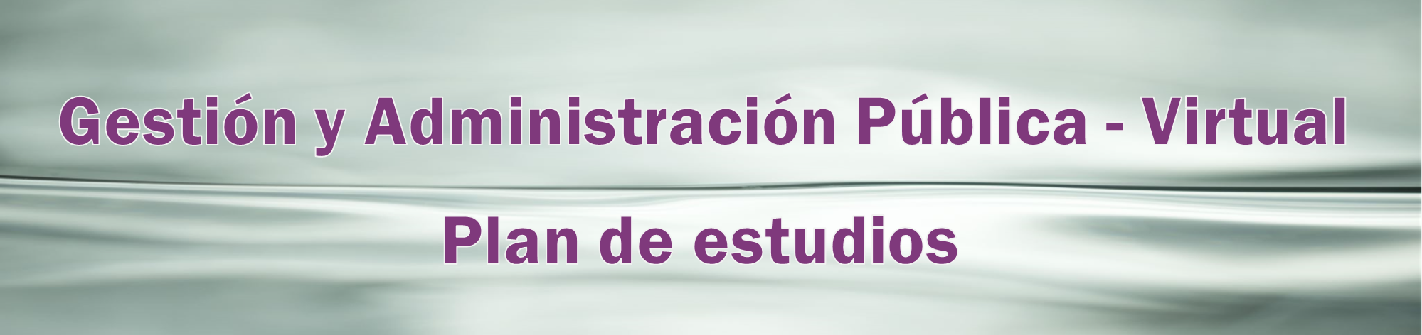Plan de estudios GAP - Virtual