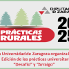 Prácticas desafío y arraigo