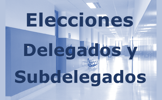 Elecciones Delegados