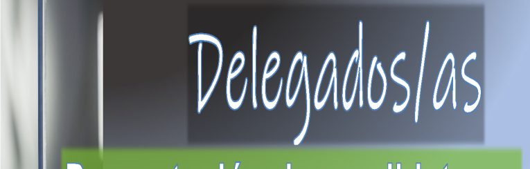 Elecciones delegados